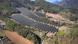[현장탐사] 명품마을 발칵, 울컥한 농부…태양광에 갈등 깊어진 이유 (풀영상)