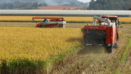 귀농·귀촌·귀어인 2년째 감소…31만 7천여 가구로 줄어