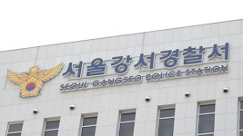 경찰, 무면허 수술 보조 의혹 이대서울병원 압수수색