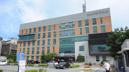 반려견이 길고양이 공격하는데 멀뚱멀뚱…견주 처벌될까