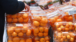 폭염 여파 겨울까지 영향…귤·딸기 가격 치솟아