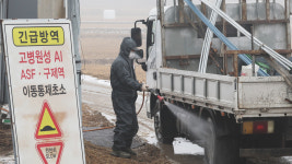 전북 김제 오리농장서 고병원성 AI…전국 21번째 사례