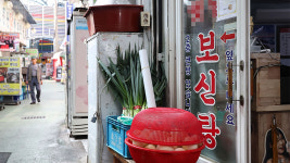 개식용종식법 반년 만에 사육농장 10곳 중 4곳 폐업