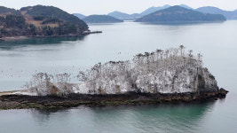 아직도 눈? 가까이 가보니 경악…섬 뒤덮은 하얀 물질