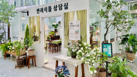 국민 3명 중 1명 반려식물 키운다…산업 규모 2조원 추산