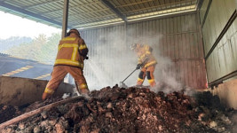 소똥 무섭더라고요…경북 산불 출동한 인천 소방관 분투기