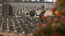 아픈 역사 제주4·3·녹색혁명 산림녹화 세계기록유산 됐다