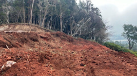 축구장 절반 크기 파헤쳤다…민둥산 된 제주 명소 충격