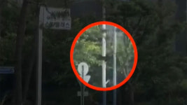 집앞 습격에 뒤통수 꿰맸다…팍 때리는 듯 부산 발칵