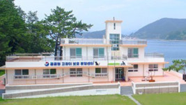 공간 분리 않고 40∼50마리 보호 통영 고양이학교 관리 부실 논란