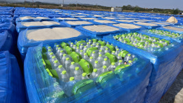 106만 병 그대로 방치…최악 가뭄 강릉에 쌓여 논란