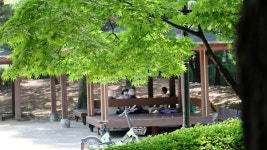 경기 온열질환자 하루 20명…올해 최다