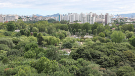 서울시 