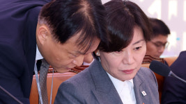 송미령 