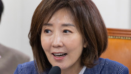 민주당 