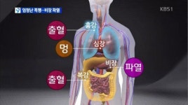 [취재후] 故 윤 일병과 ‘부러진 갈비뼈’