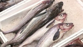 생태탕은 갔다? ‘겨울 탕 지존’ 꿰찬 대구탕