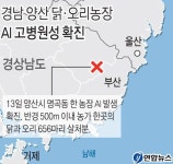 경남 양산 닭·오리농장 AI 고병원성 확진