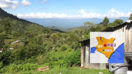 [취재후] 5천 원 짜리 커피 한 잔에 들어있는 원두값은?