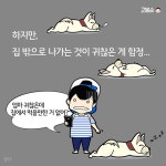 무더운 여름엔 국수가 진리! 간편 국수 레시피