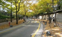 [포토] 서울 도심 속 단풍길 100선