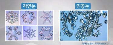 [취재후] 왜 스키장은 눈이 와도 인공 눈을 뿌릴까?