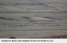 [순천만 이야기②] 전봇대 뽑고 먹이 주고…순천만의 정성