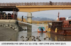 [순천만 이야기②] 전봇대 뽑고 먹이 주고…순천만의 정성