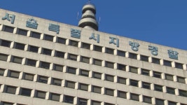 서울 강남 성매매 알선 총책 등 113명 검거