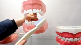 치과 분야의 가정의학과 ‘통합치의학과’ 신설