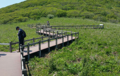 [곰배령이야기] ② “숲이 살아야 사람도 산다”