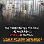 [뉴스픽] 23일, 버려진 반려동물에 허락된 시간