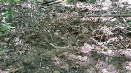 [곰배령이야기] ③ 숲속 농사꾼을 아시나요?