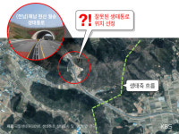 로드킬④ 생태통로 450곳…절반은 엉터리