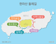 한라산 둘레길 ① 숲의 바다에 풍덩! 제주의 재발견