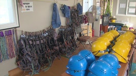 전국 하강레포츠 시설 절반이 수리 대상