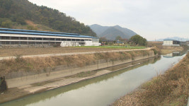 [취재후] ‘황당 행정’이 빚은 참사…낙동강 오·폐수 사건