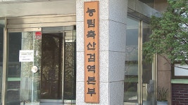 국내 텃새도 고병원성 AI 검출