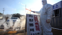 장성 산란닭 농가 AI 의심신고…간이검사 ‘양성’