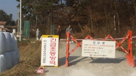 안성·이천서 또 AI 의심신고…닭·오리 440마리 폐사