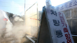 충남 천안·아산 AI 양성반응 잇따라