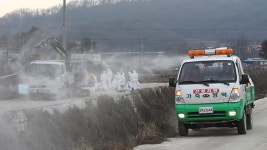 강원도서도 AI 첫 확진…매몰처리 전국서 338만여 마리