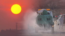 AI·독감에 해넘이·해맞이 행사 줄줄이 취소