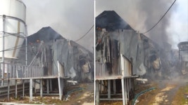 전북 완주 돼지농장 불…돼지 7백마리 죽어