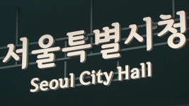 서울시 “교통·의료 등 설 연휴 대책 마련”