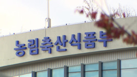 AI·구제역에…소·돼지·닭 고기 수출 막혔다