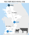 구제역 백신 우리는 왜 못 만드나?