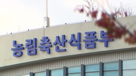 농식품부, 한우에 ‘주치의 제도’ 추진…정기 방문 진료