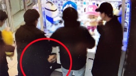 인형뽑기 게임기에 몸 집어넣어 인형 훔쳐