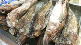 지난해 수산물 수입액 5% 증가…명태·새우·연어 순